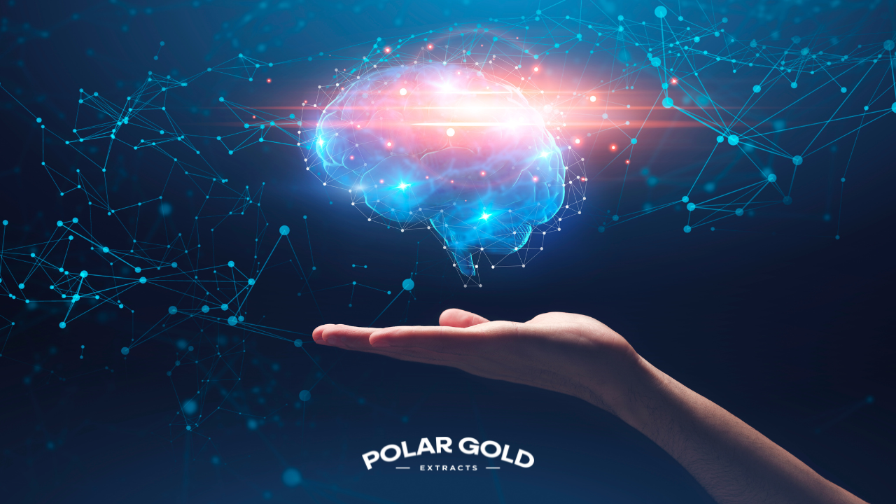 Unlocking a Healthier Mind Through Physical Activity