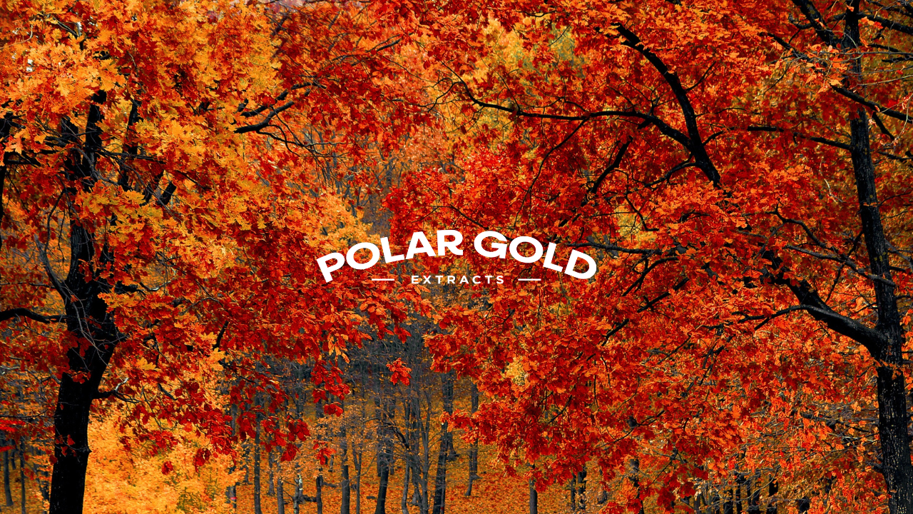 Season Change