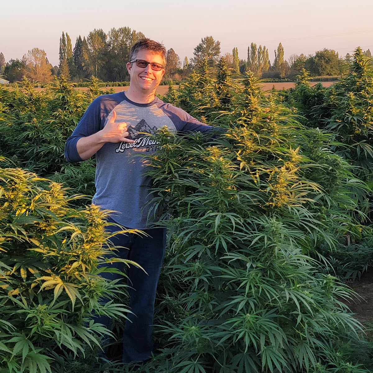 Polar Gold Extracts